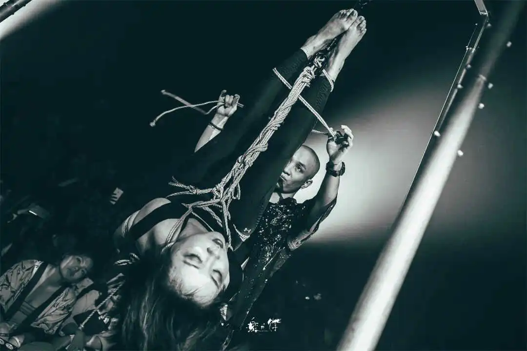 西檬之家探索DS关系的核心秘密与实践技巧 一