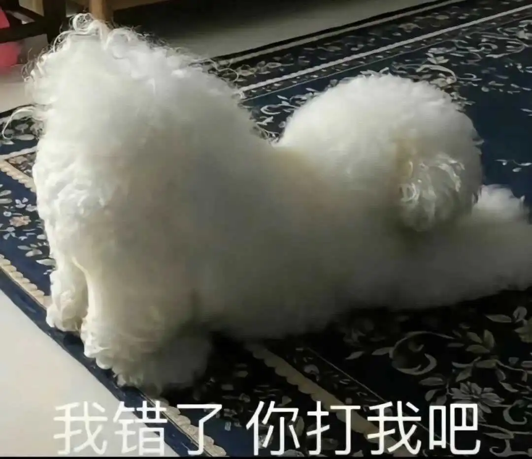 西檬之家字母圈有哪些常用术语 一