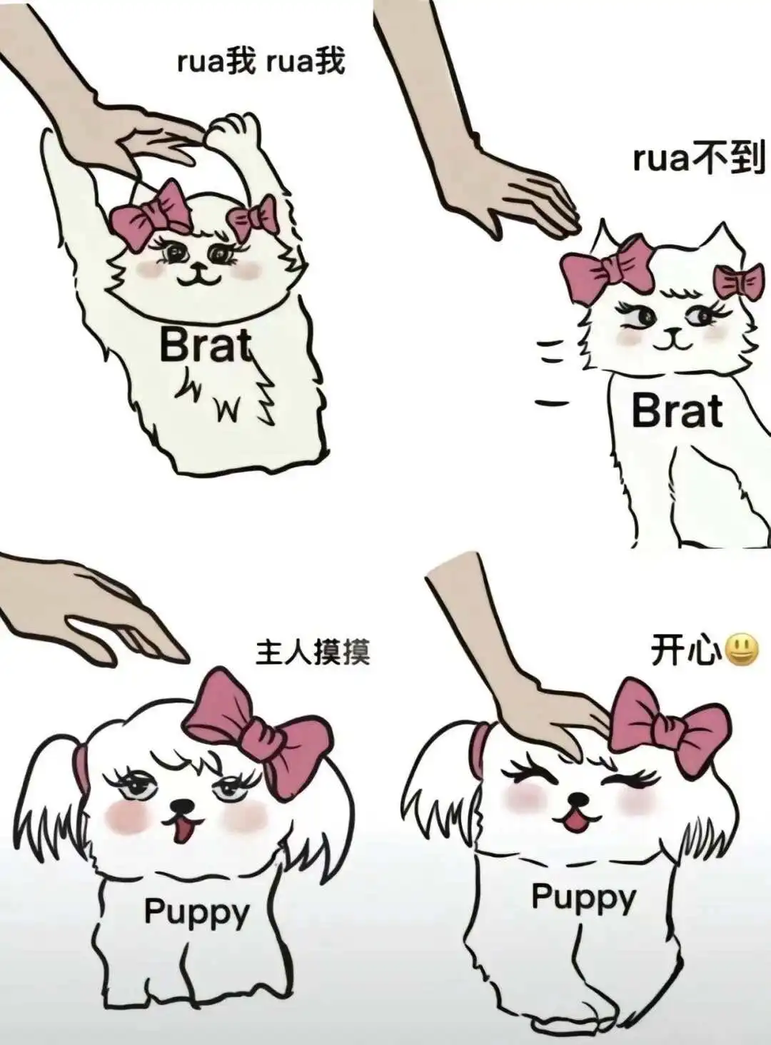 西檬之家K8是什么?字母圈新人必知概念 一