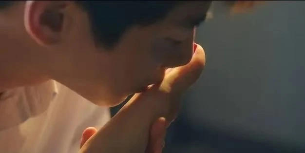 西檬之家K9犬系是什么意思?你的字母圈属性是什么 一