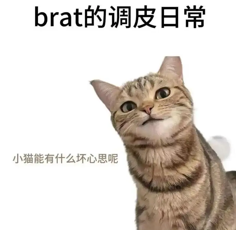 西檬之家BDSM新手必看:入圈前必知的SSC安全原则 一