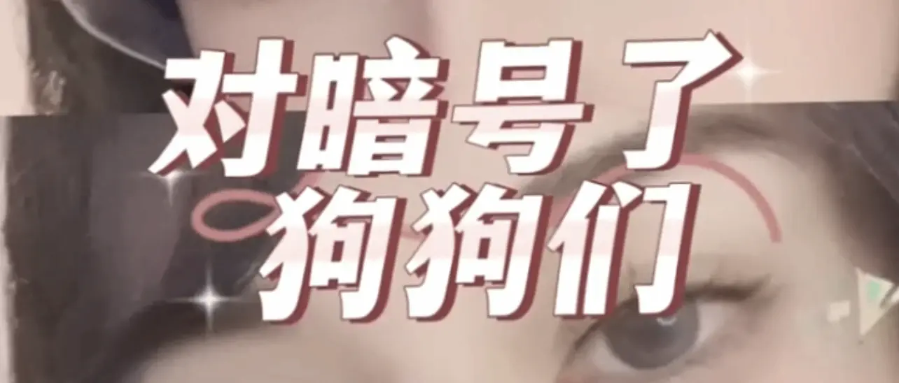 西檬之家字母圈Sp实践指南 一