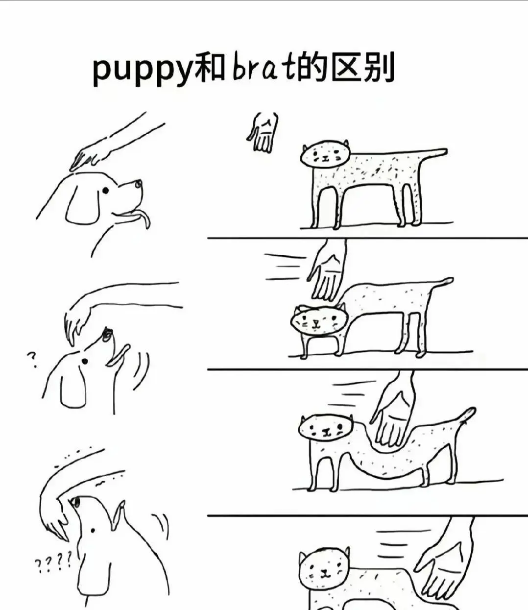 西檬之家斯慕圈是什么?新人入圈指南 一
