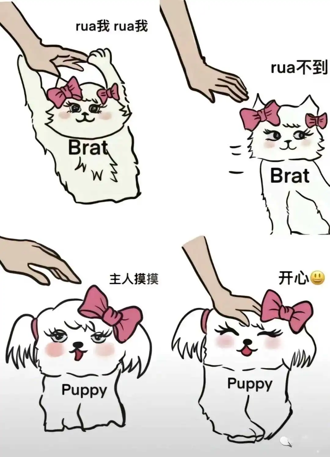西檬之家字母圈k8猫系角色解析 一