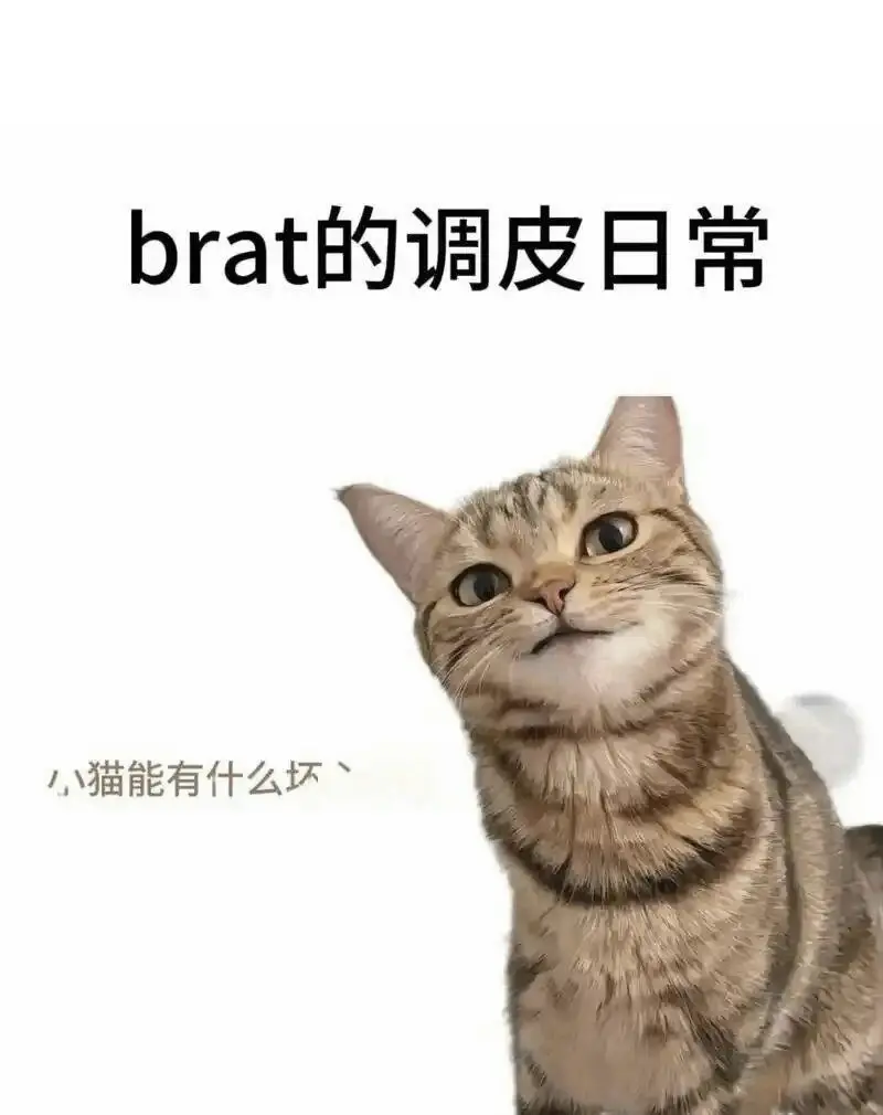 西檬之家字母圈的大圈是什么意思? 一