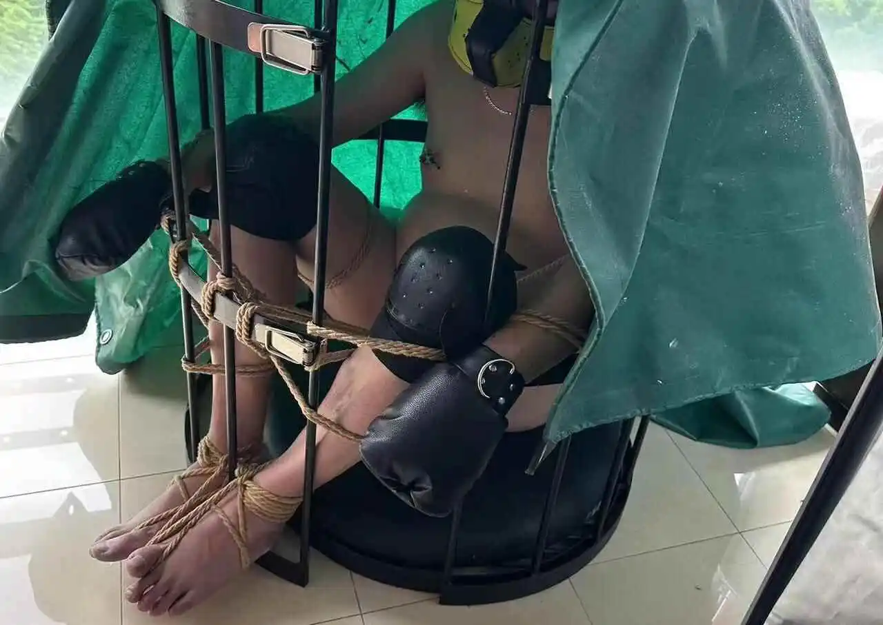 西檬之家字母圈的K9犬系是什么意思? 一