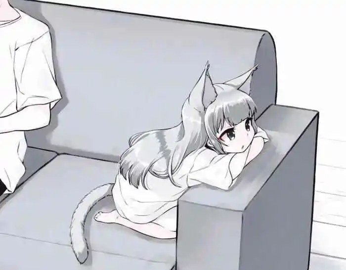 西檬之家字母圈的S属性是什么意思? 一
