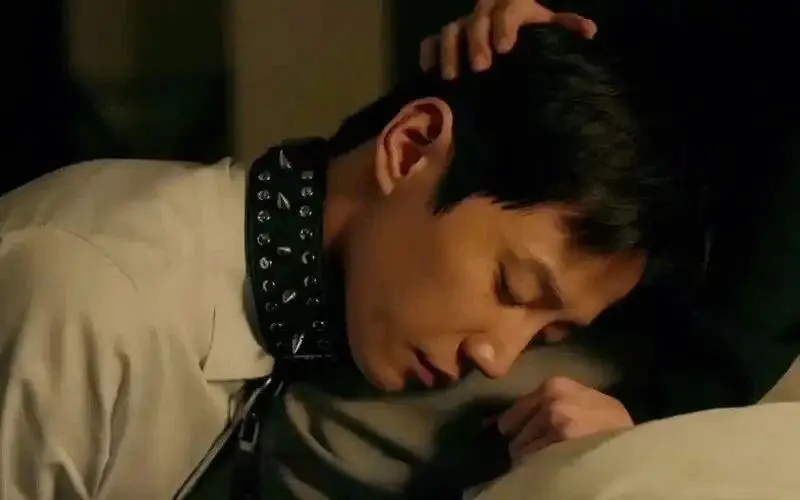 西檬之家sp小圈是什么意思? 一